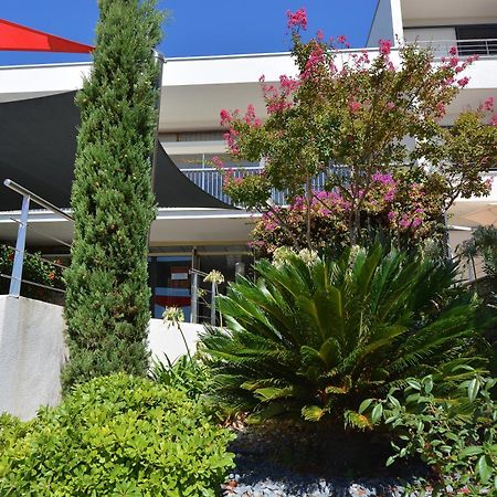 Hotel Les Eucalyptus Porto Pollo Dış mekan fotoğraf
