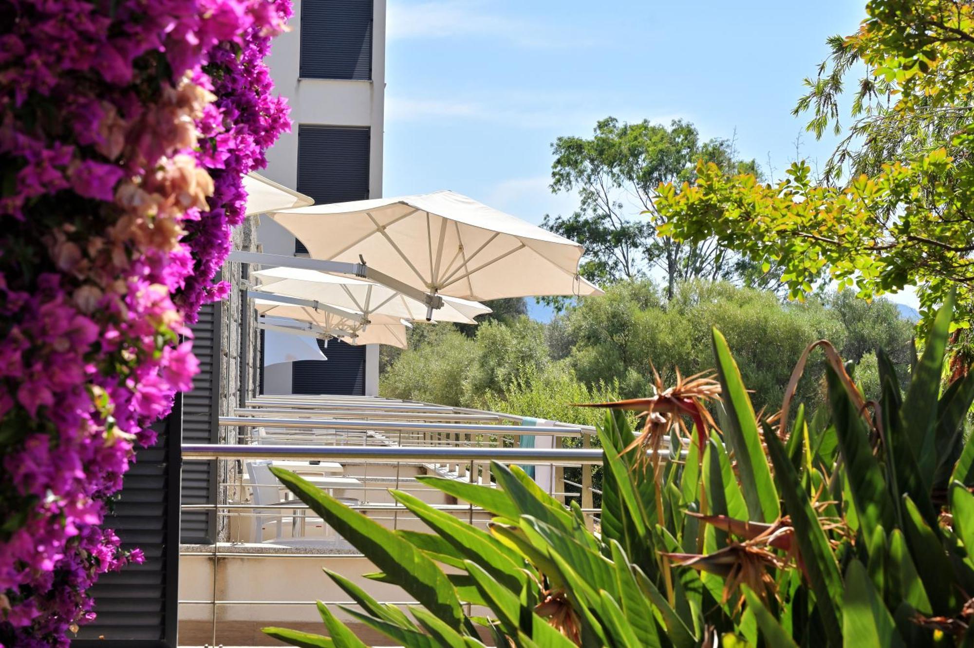 Hotel Les Eucalyptus Porto Pollo Dış mekan fotoğraf