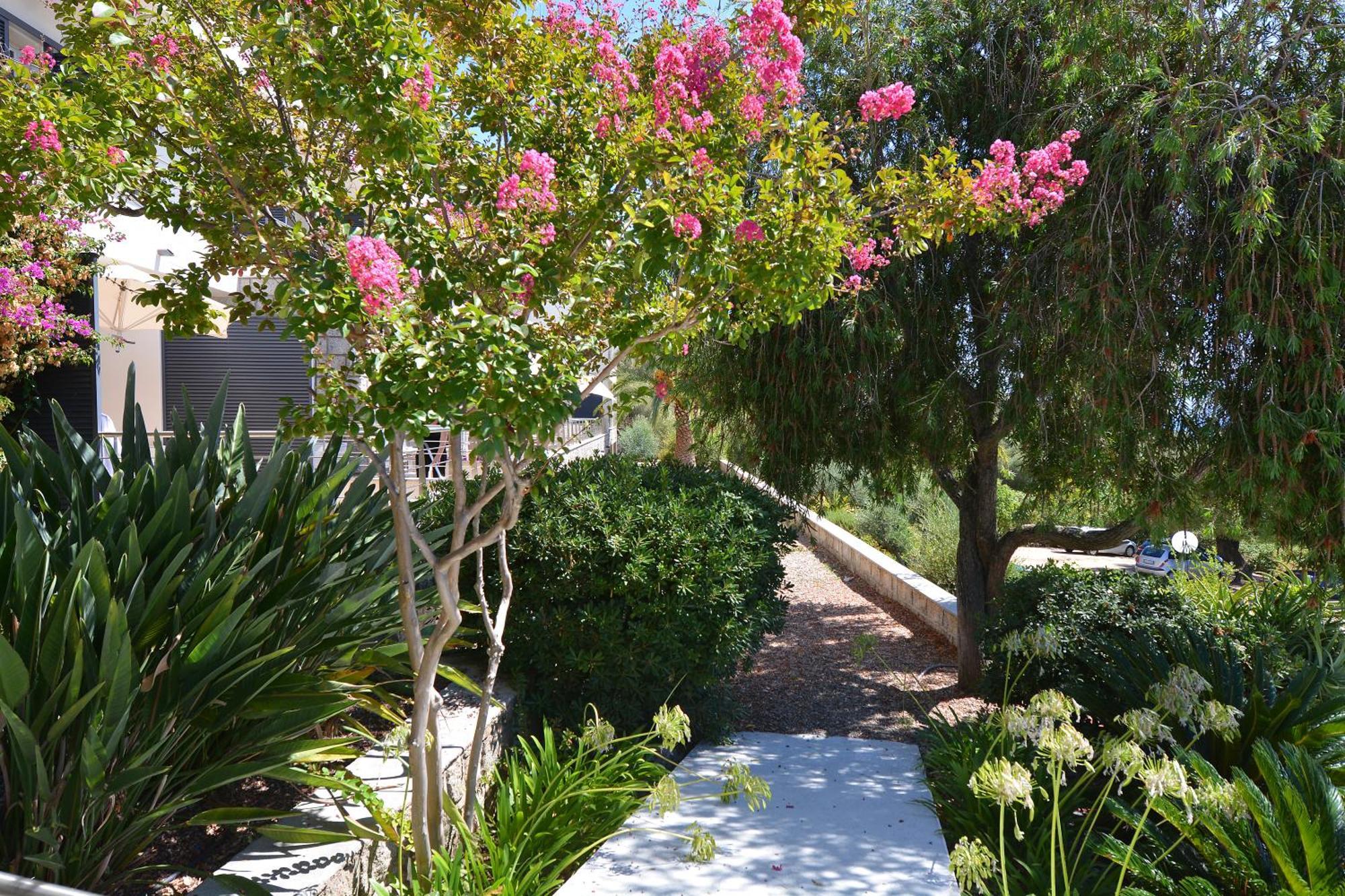 Hotel Les Eucalyptus Porto Pollo Dış mekan fotoğraf